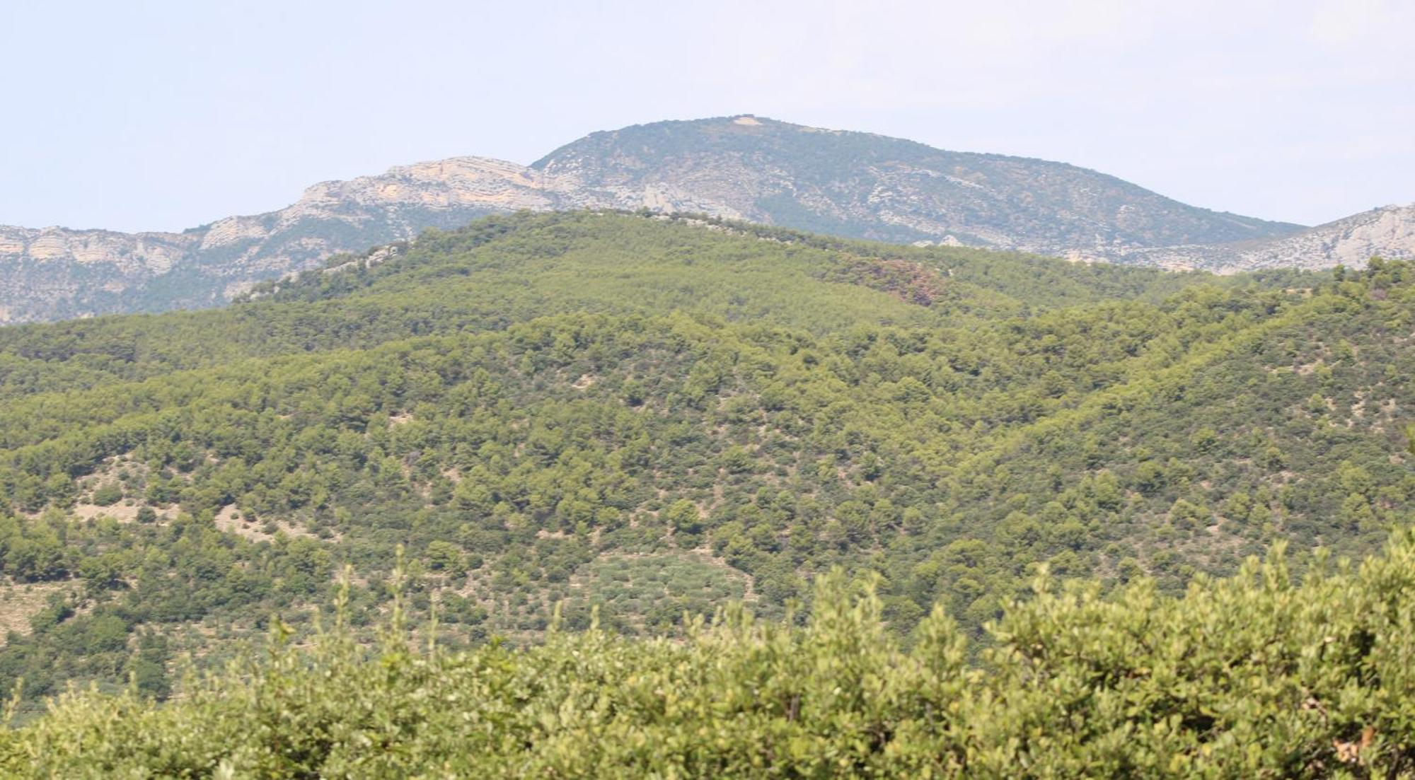 Le Pas Du Ventoux Villa Mollans-sur-Ouvèze Buitenkant foto