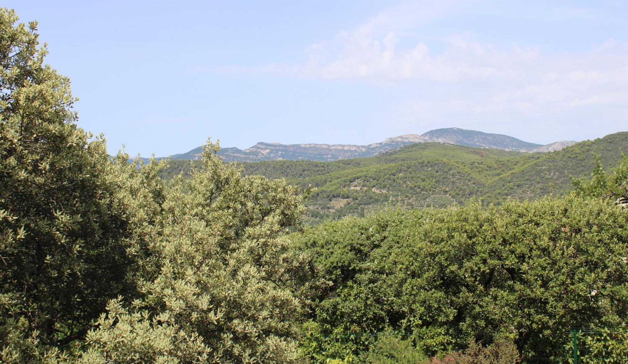 Le Pas Du Ventoux Villa Mollans-sur-Ouvèze Buitenkant foto